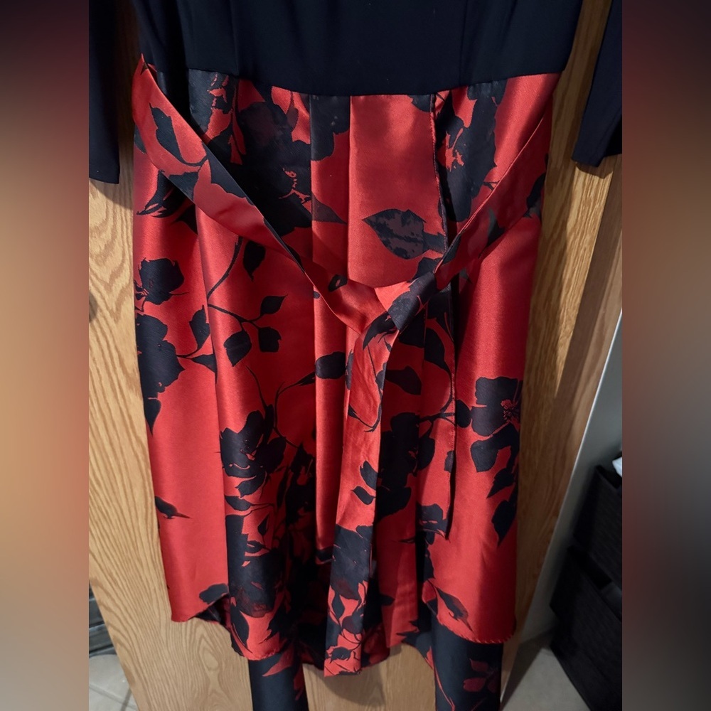Black and Red Floral Dress - Picture 3 of 5